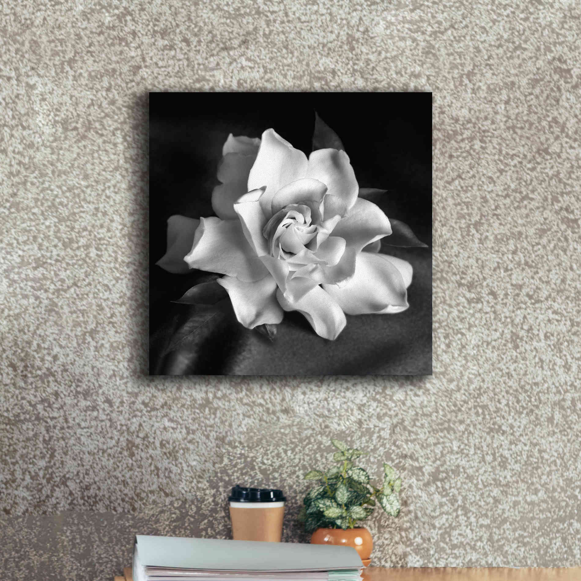 'Gardenia' by Debra Van Swearingen, Canvas Wall Art,18 x 18