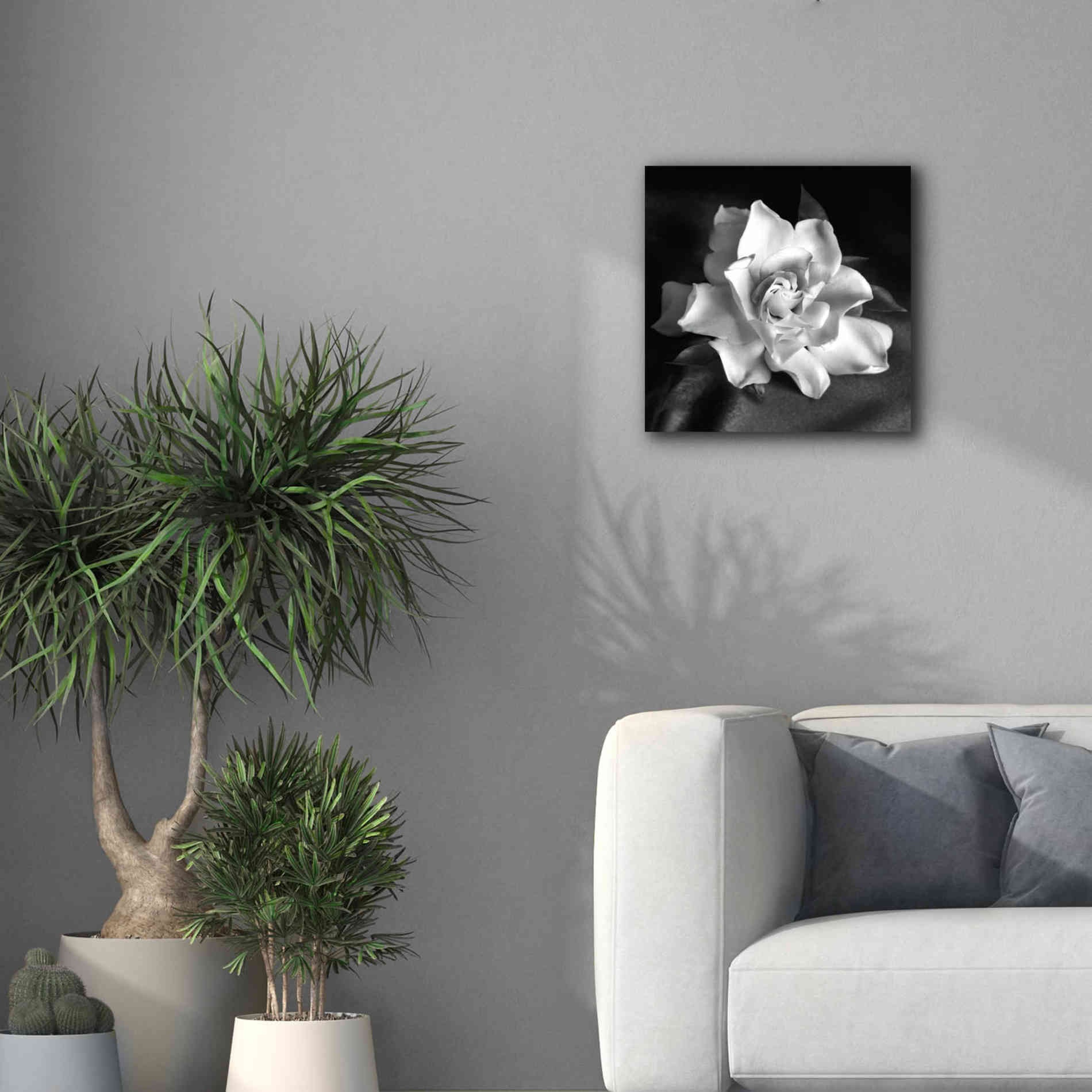 'Gardenia' by Debra Van Swearingen, Canvas Wall Art,18 x 18