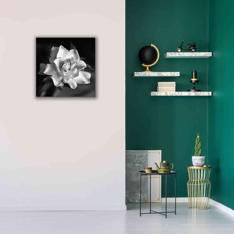 Image of 'Gardenia' by Debra Van Swearingen, Canvas Wall Art,26 x 26