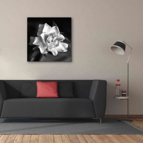 Image of 'Gardenia' by Debra Van Swearingen, Canvas Wall Art,37 x 37