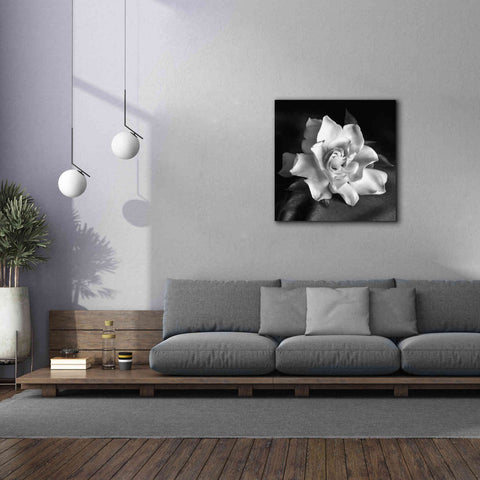 Image of 'Gardenia' by Debra Van Swearingen, Canvas Wall Art,37 x 37
