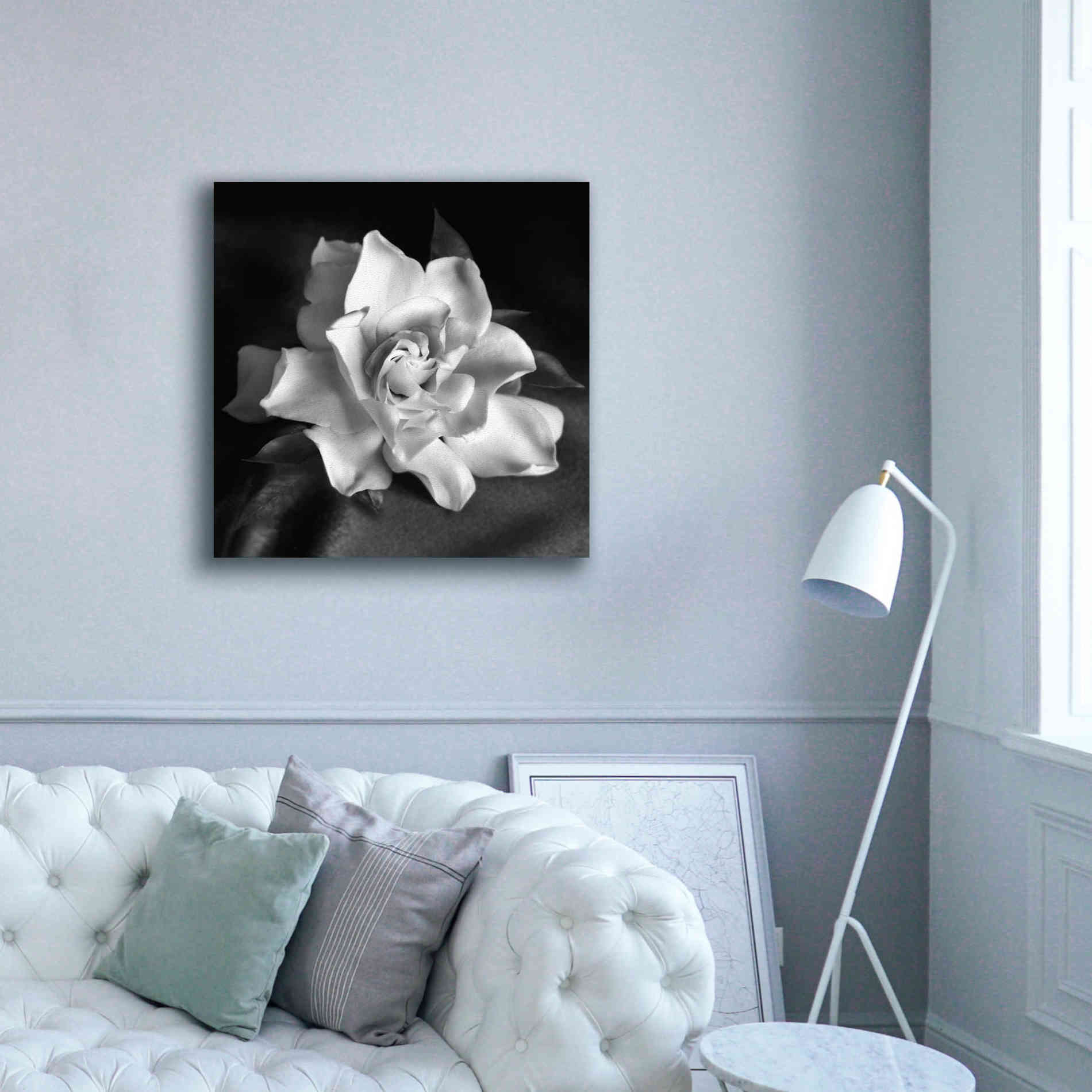 'Gardenia' by Debra Van Swearingen, Canvas Wall Art,37 x 37