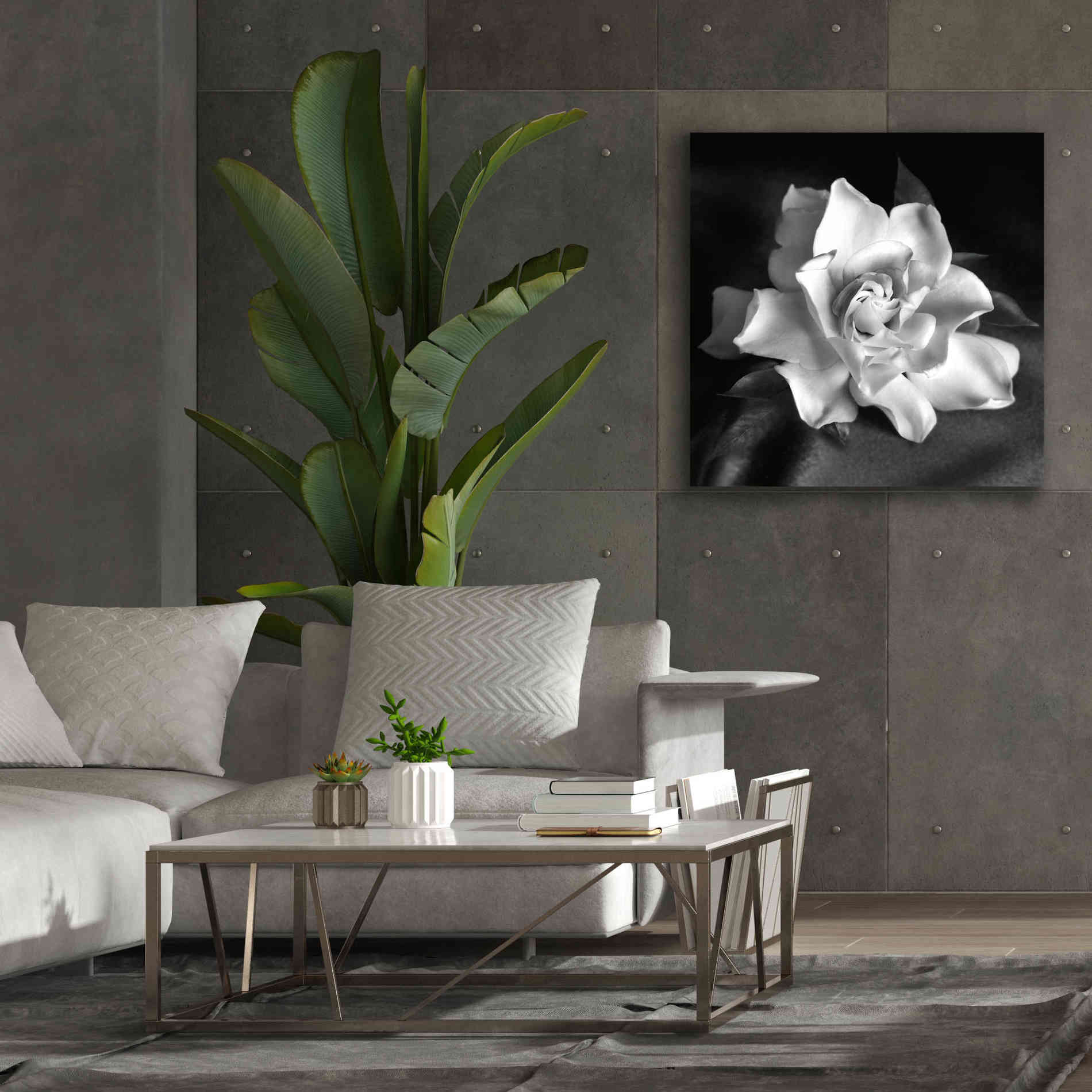 'Gardenia' by Debra Van Swearingen, Canvas Wall Art,37 x 37