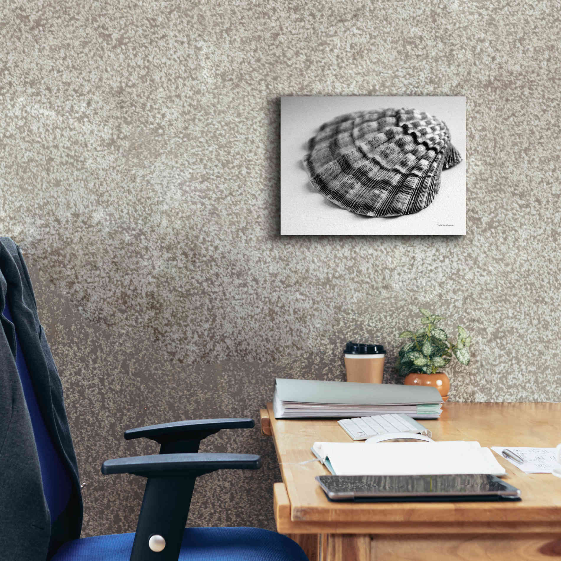 'Scallop 3' by Debra Van Swearingen, Canvas Wall Art,16 x 12