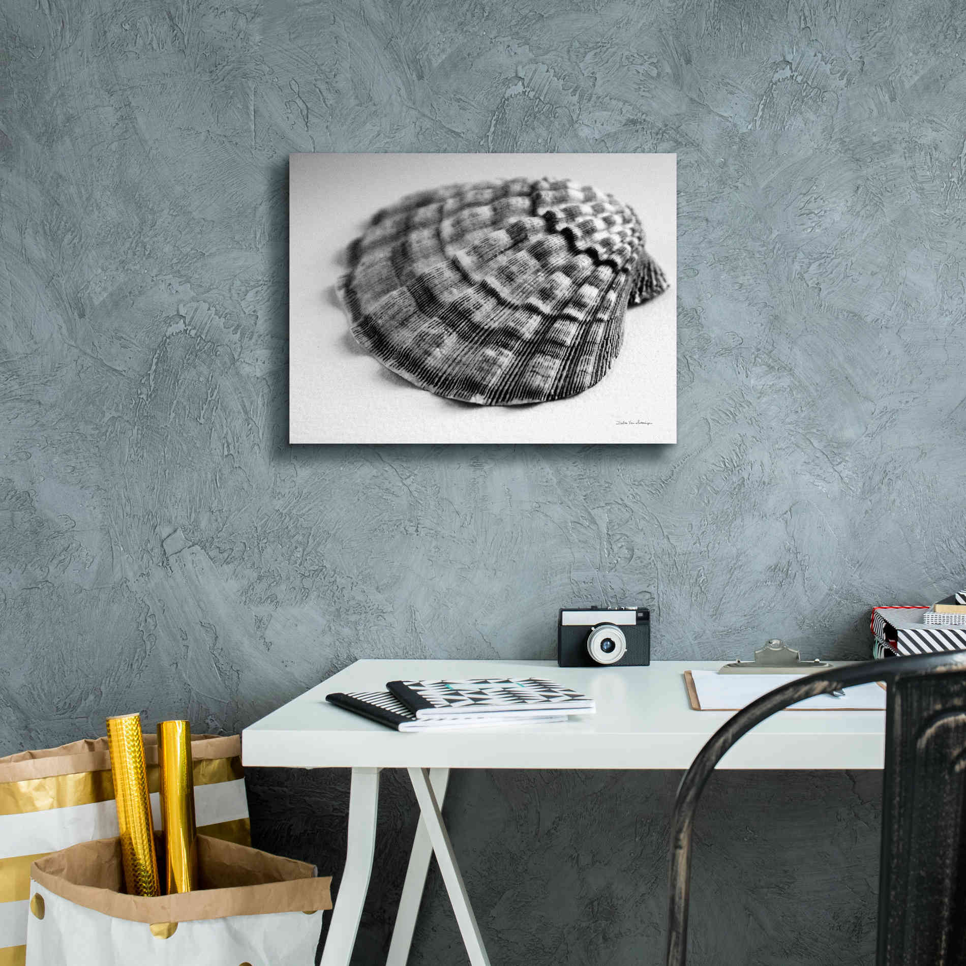 'Scallop 3' by Debra Van Swearingen, Canvas Wall Art,16 x 12