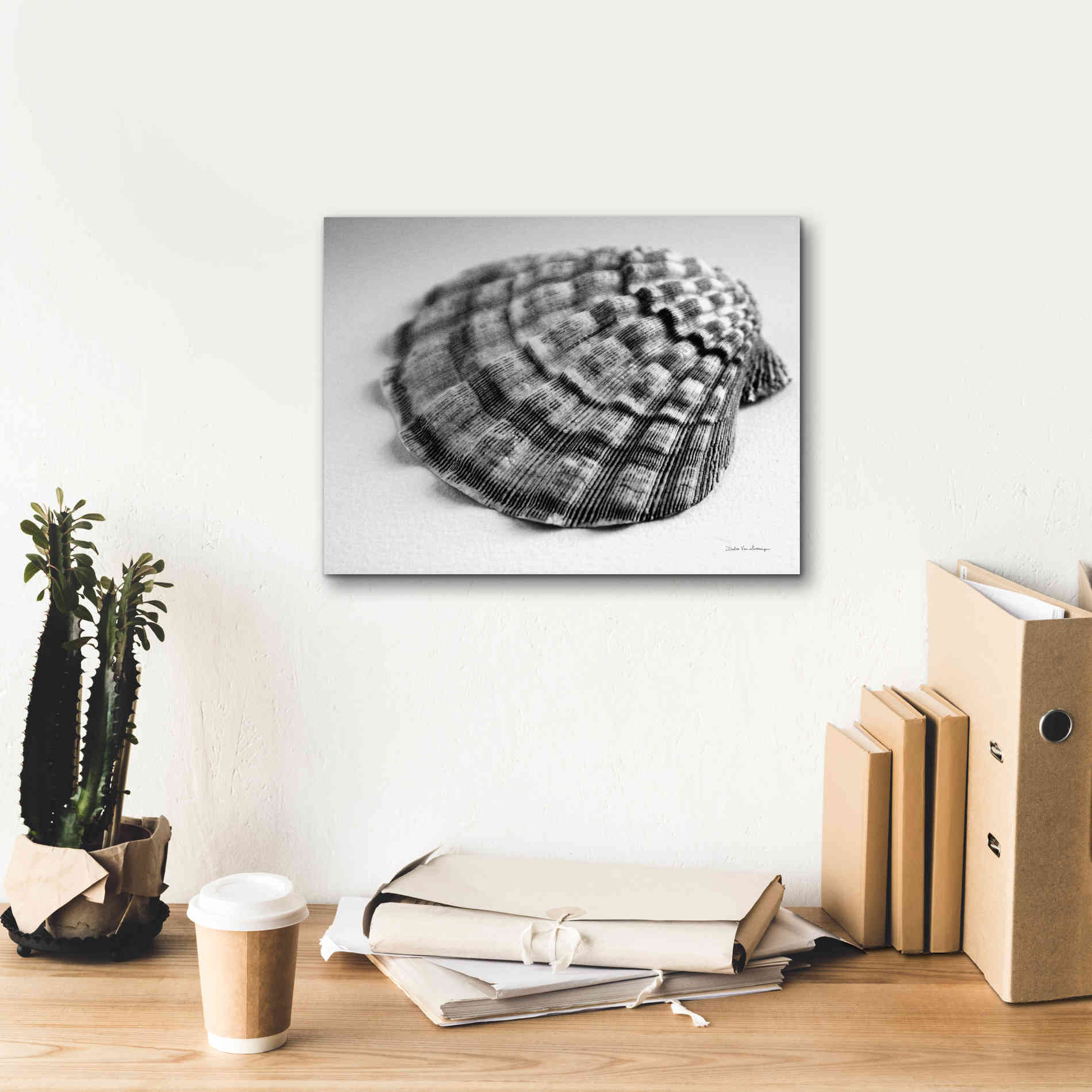 'Scallop 3' by Debra Van Swearingen, Canvas Wall Art,16 x 12