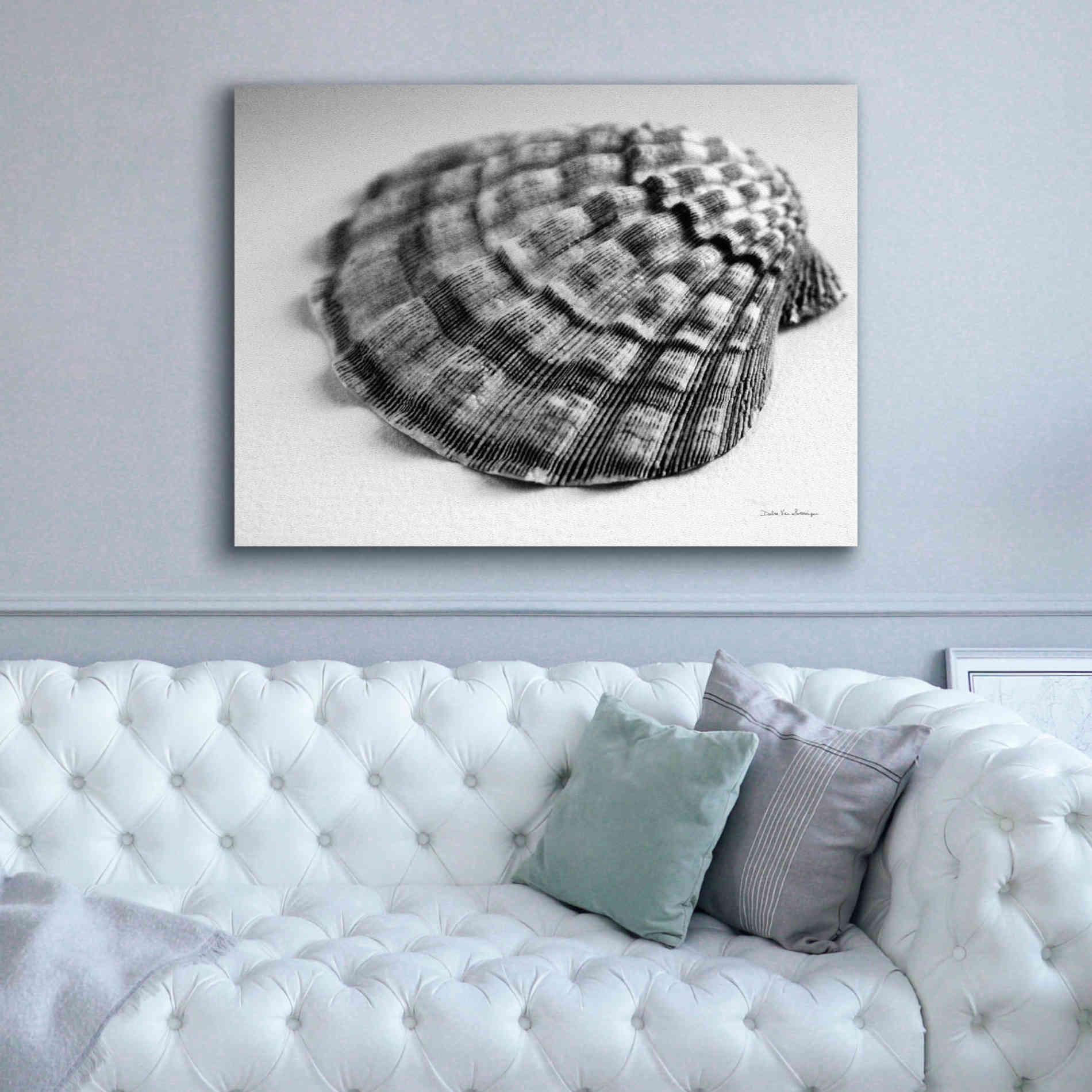 'Scallop 3' by Debra Van Swearingen, Canvas Wall Art,54 x 40