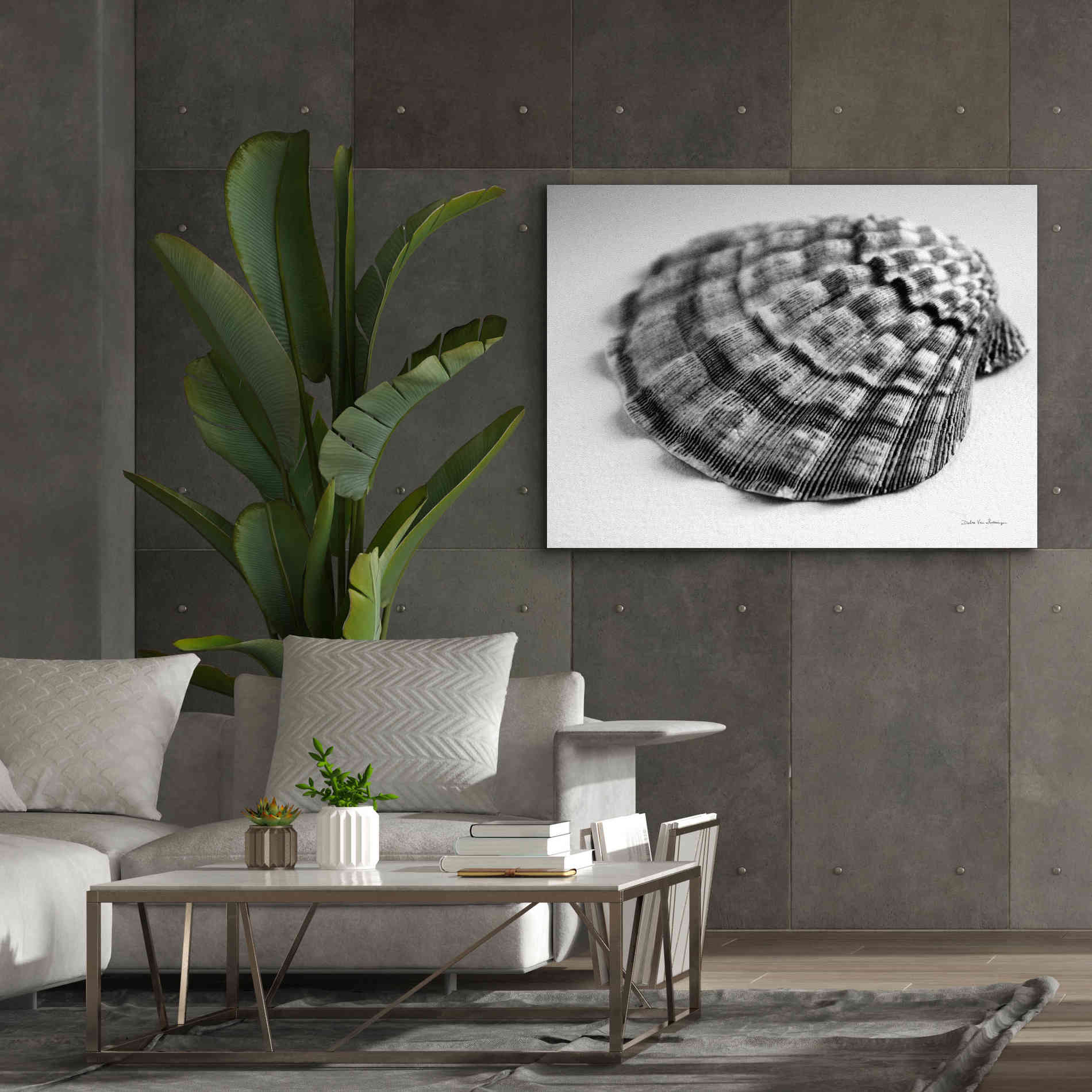 'Scallop 3' by Debra Van Swearingen, Canvas Wall Art,54 x 40