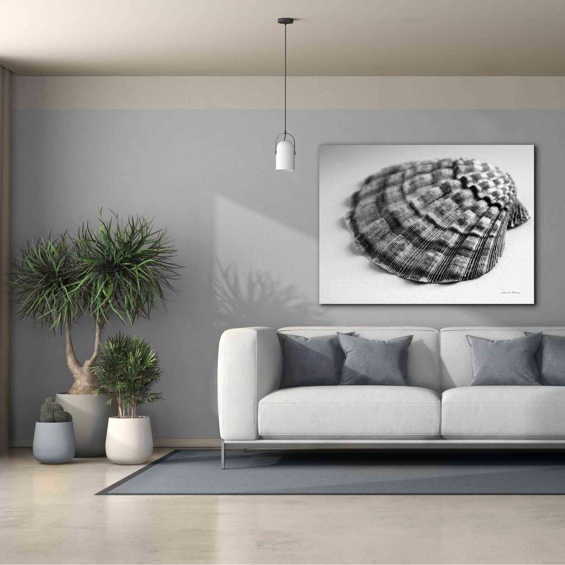 'Scallop 3' by Debra Van Swearingen, Canvas Wall Art,54 x 40