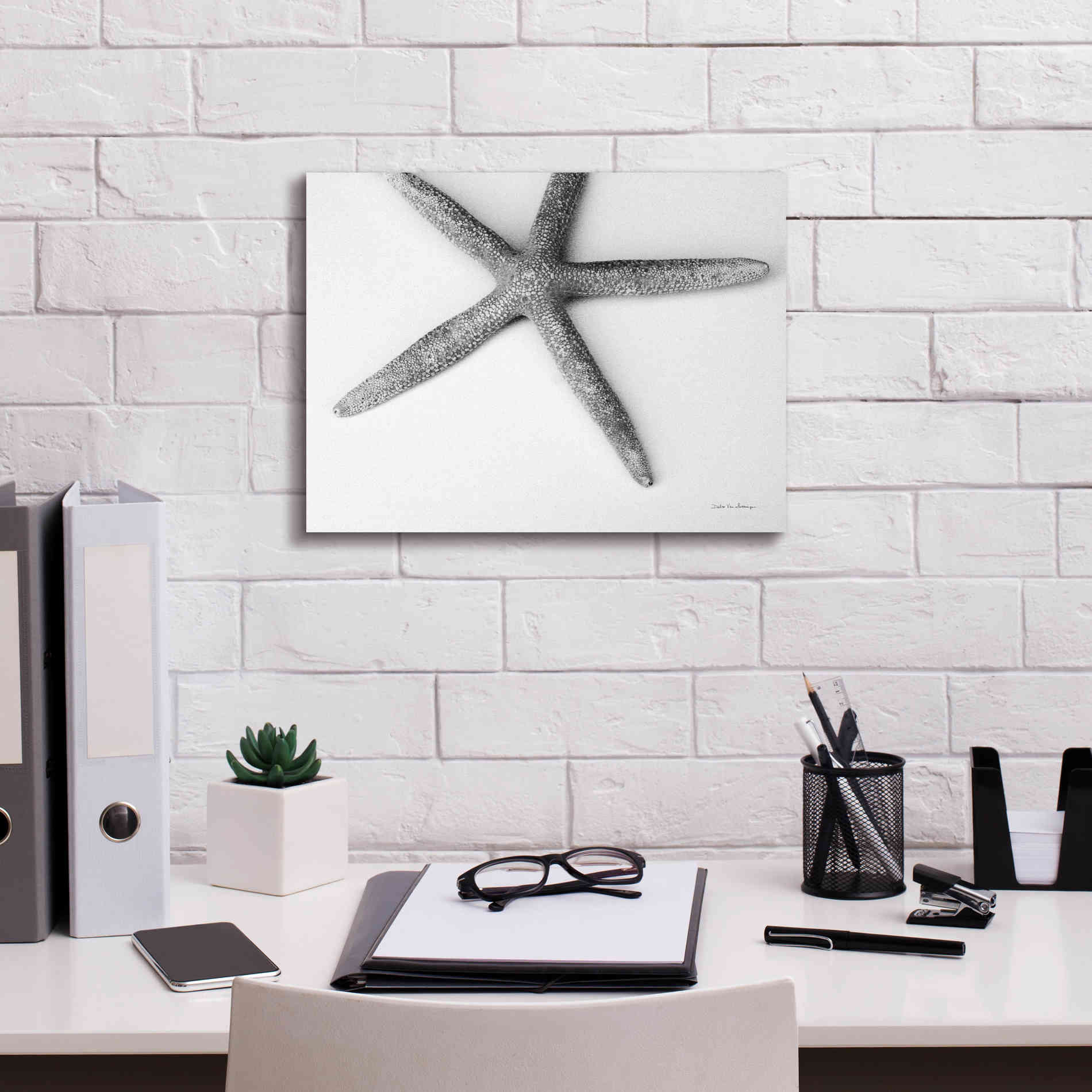 'Starfish Detail' by Debra Van Swearingen, Canvas Wall Art,16 x 12