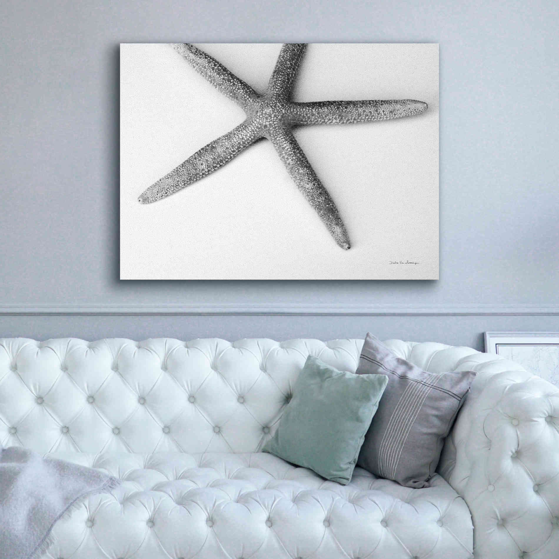 'Starfish Detail' by Debra Van Swearingen, Canvas Wall Art,54 x 40