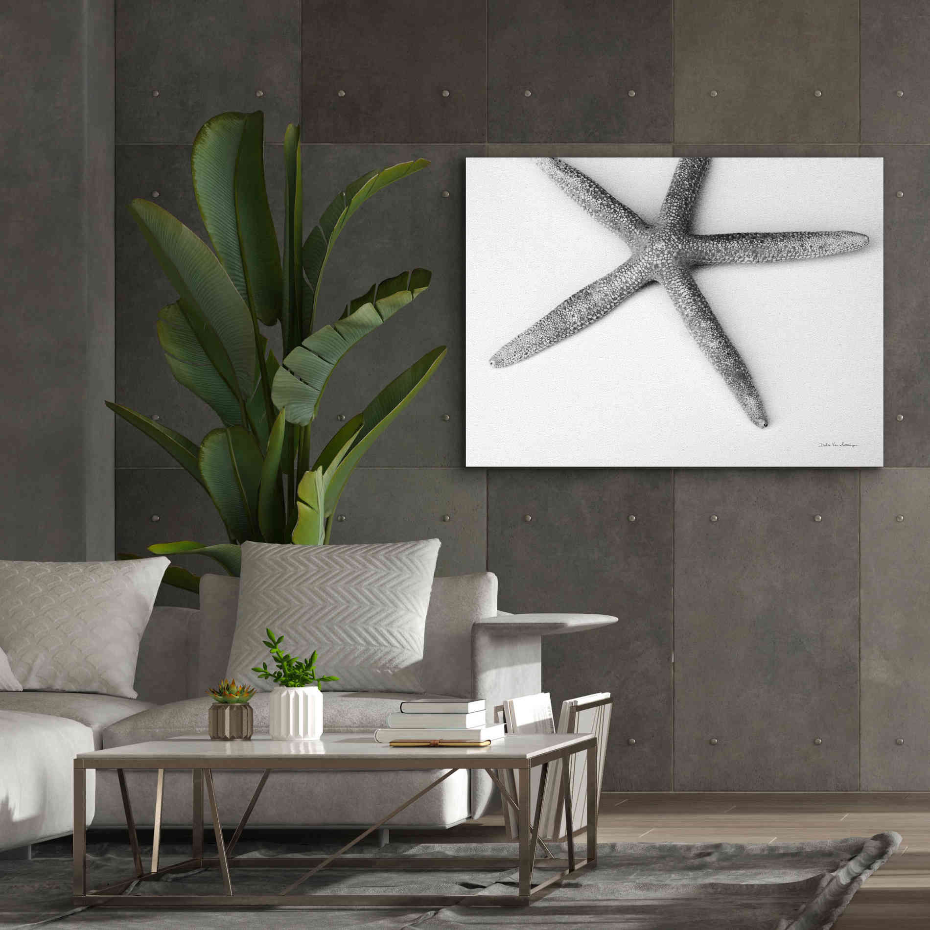 'Starfish Detail' by Debra Van Swearingen, Canvas Wall Art,54 x 40