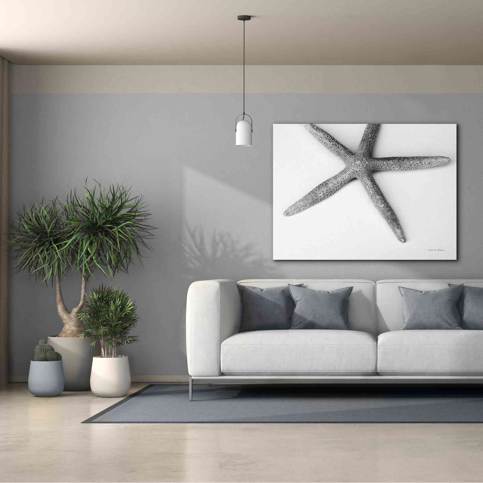 'Starfish Detail' by Debra Van Swearingen, Canvas Wall Art,54 x 40