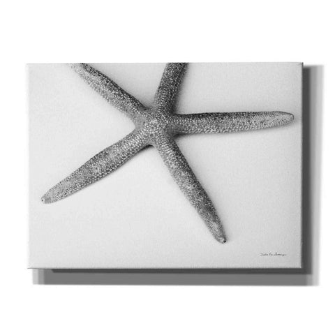 Image of 'Starfish Detail' by Debra Van Swearingen, Canvas Wall Art,16x12x1.1x0,26x18x1.1x0,34x26x1.74x0,54x40x1.74x0