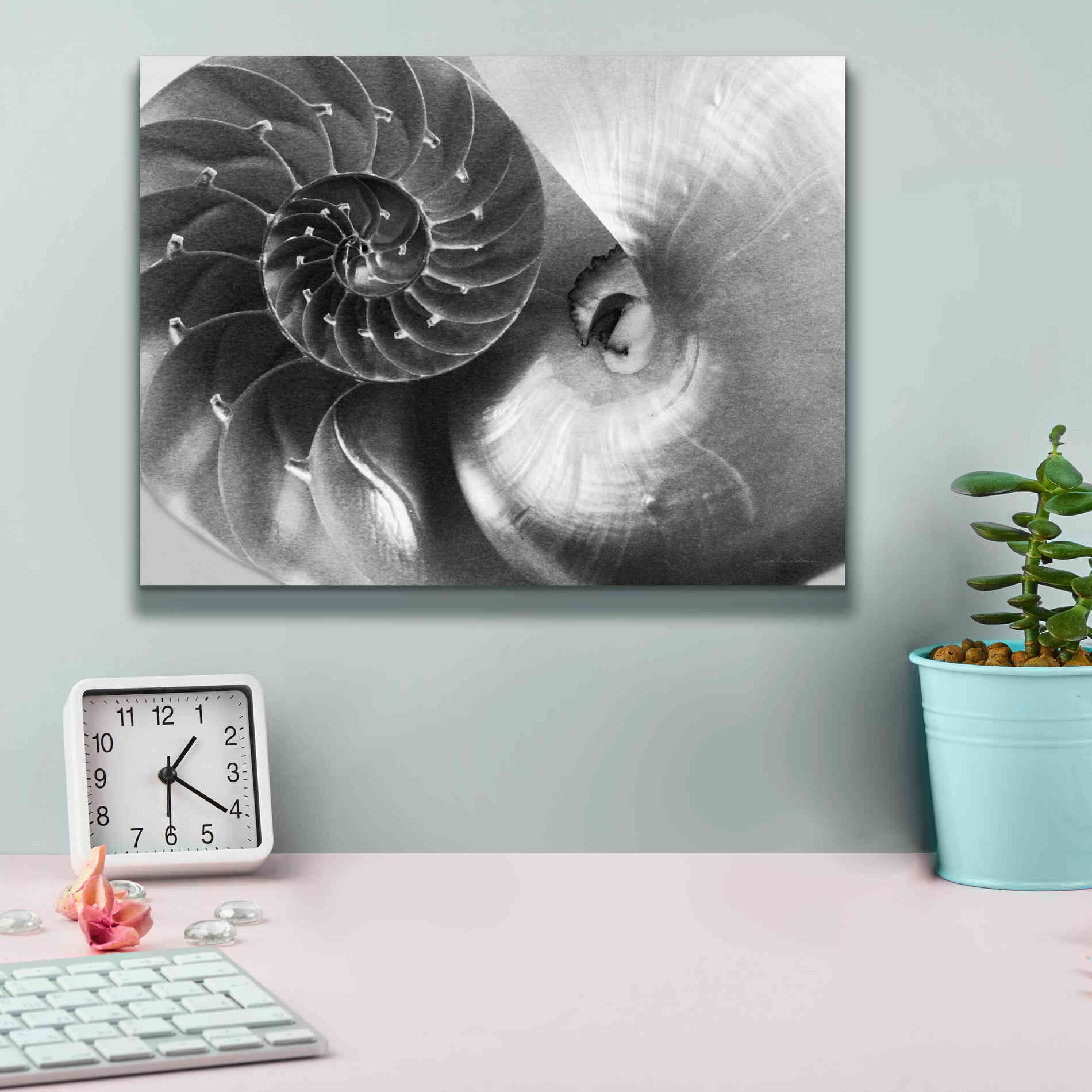 'Nautilus Yin Yang' by Debra Van Swearingen, Canvas Wall Art,16 x 12