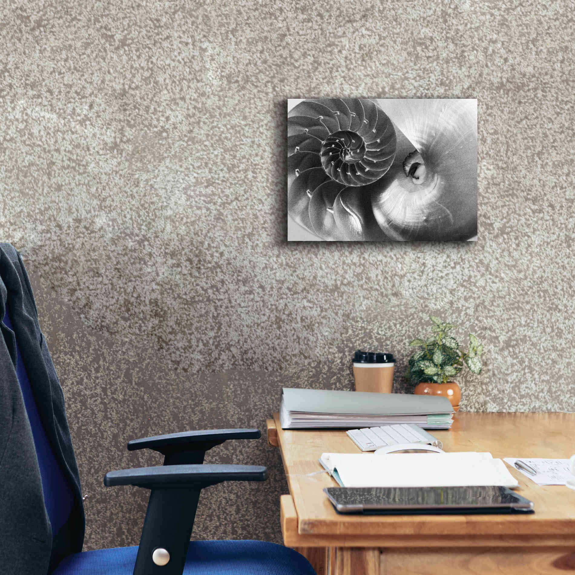 'Nautilus Yin Yang' by Debra Van Swearingen, Canvas Wall Art,16 x 12