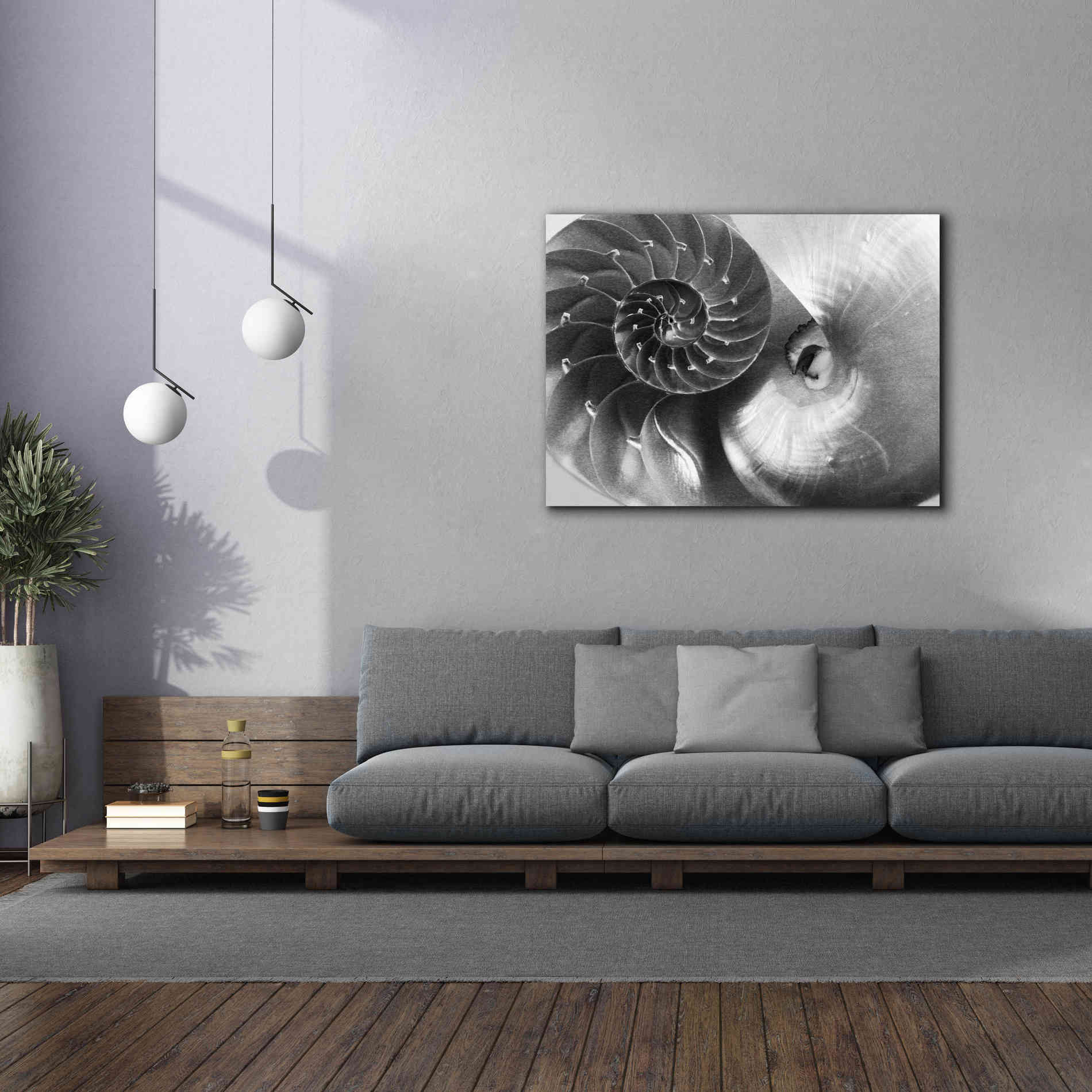 'Nautilus Yin Yang' by Debra Van Swearingen, Canvas Wall Art,54 x 40