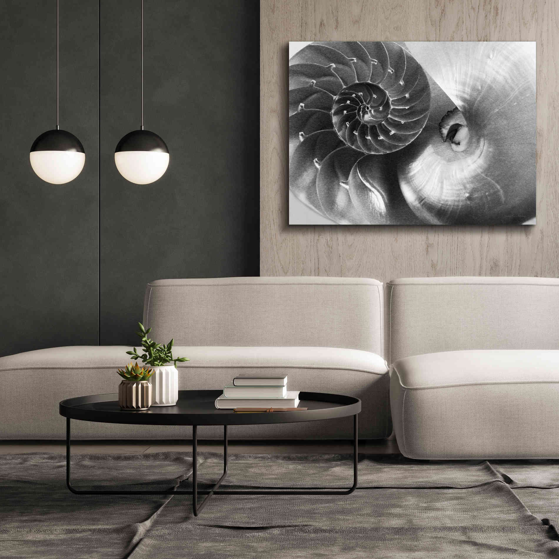 'Nautilus Yin Yang' by Debra Van Swearingen, Canvas Wall Art,54 x 40