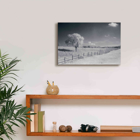 Image of 'Trees Fence I' by Debra Van Swearingen, Canvas Wall Art,18 x 12