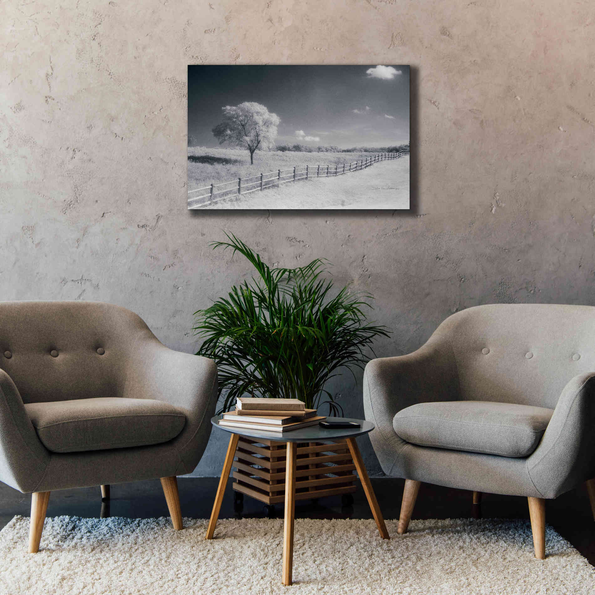 'Trees Fence I' by Debra Van Swearingen, Canvas Wall Art,40 x 26