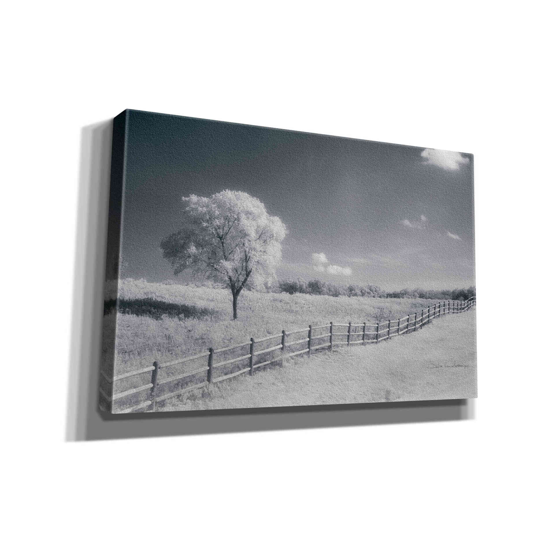'Trees Fence I' by Debra Van Swearingen, Canvas Wall Art,18x12x1.1x0,26x18x1.1x0,40x26x1.74x0,60x40x1.74x0