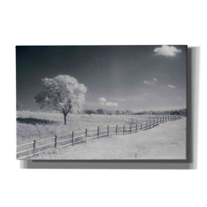 'Trees Fence I' by Debra Van Swearingen, Canvas Wall Art,18x12x1.1x0,26x18x1.1x0,40x26x1.74x0,60x40x1.74x0