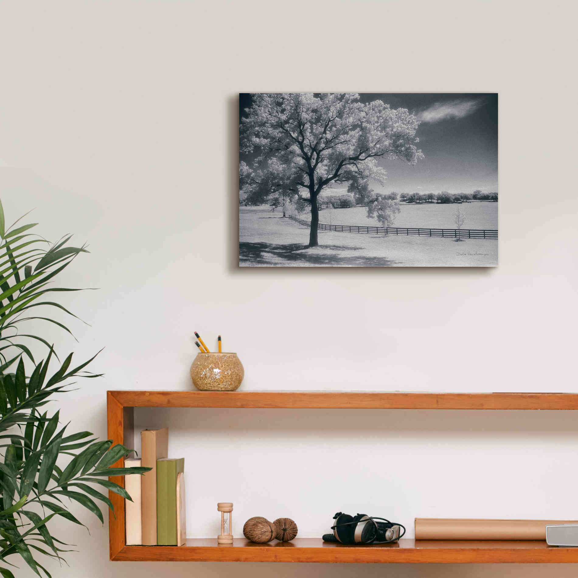 'Trees Fence II' by Debra Van Swearingen, Canvas Wall Art,18 x 12