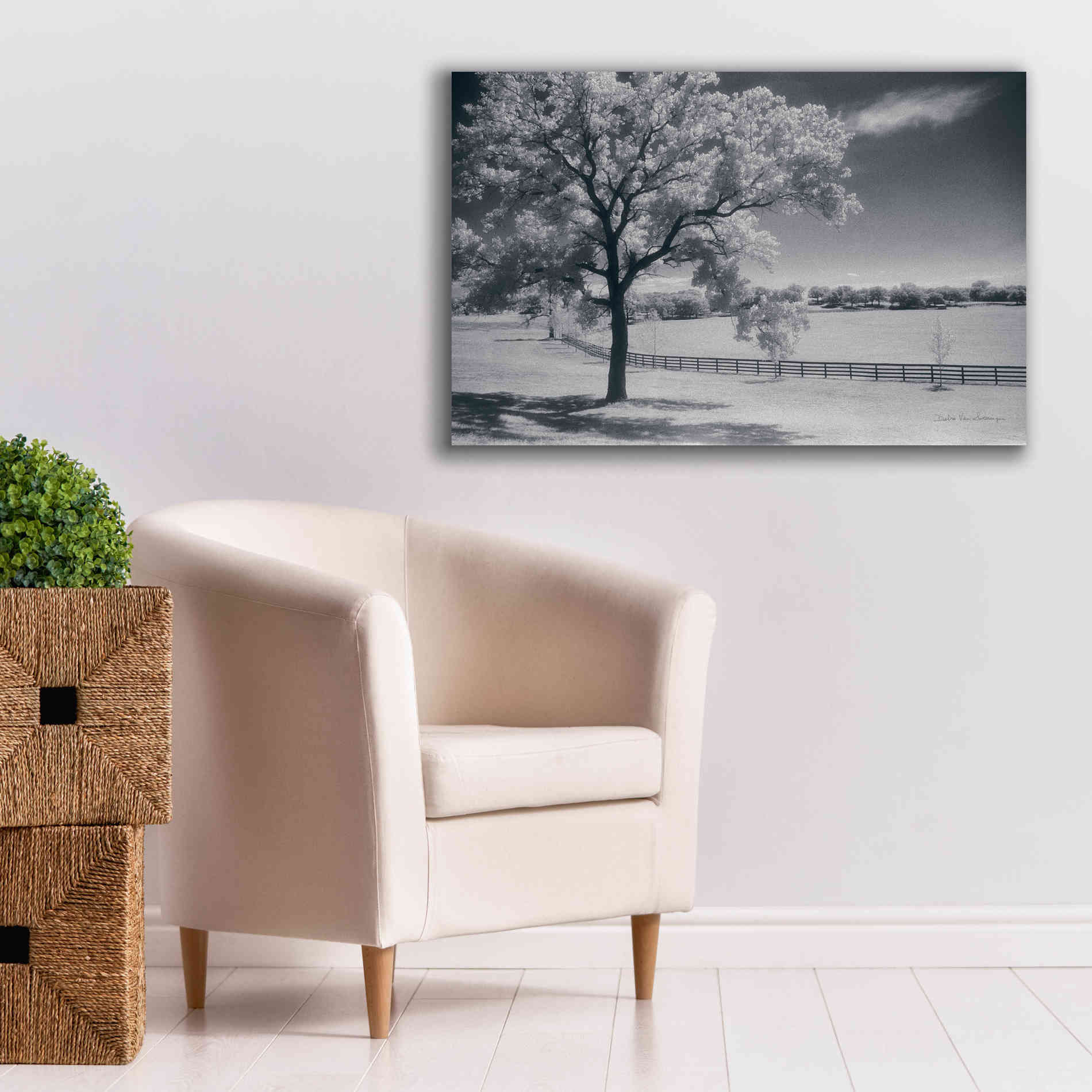 'Trees Fence II' by Debra Van Swearingen, Canvas Wall Art,40 x 26