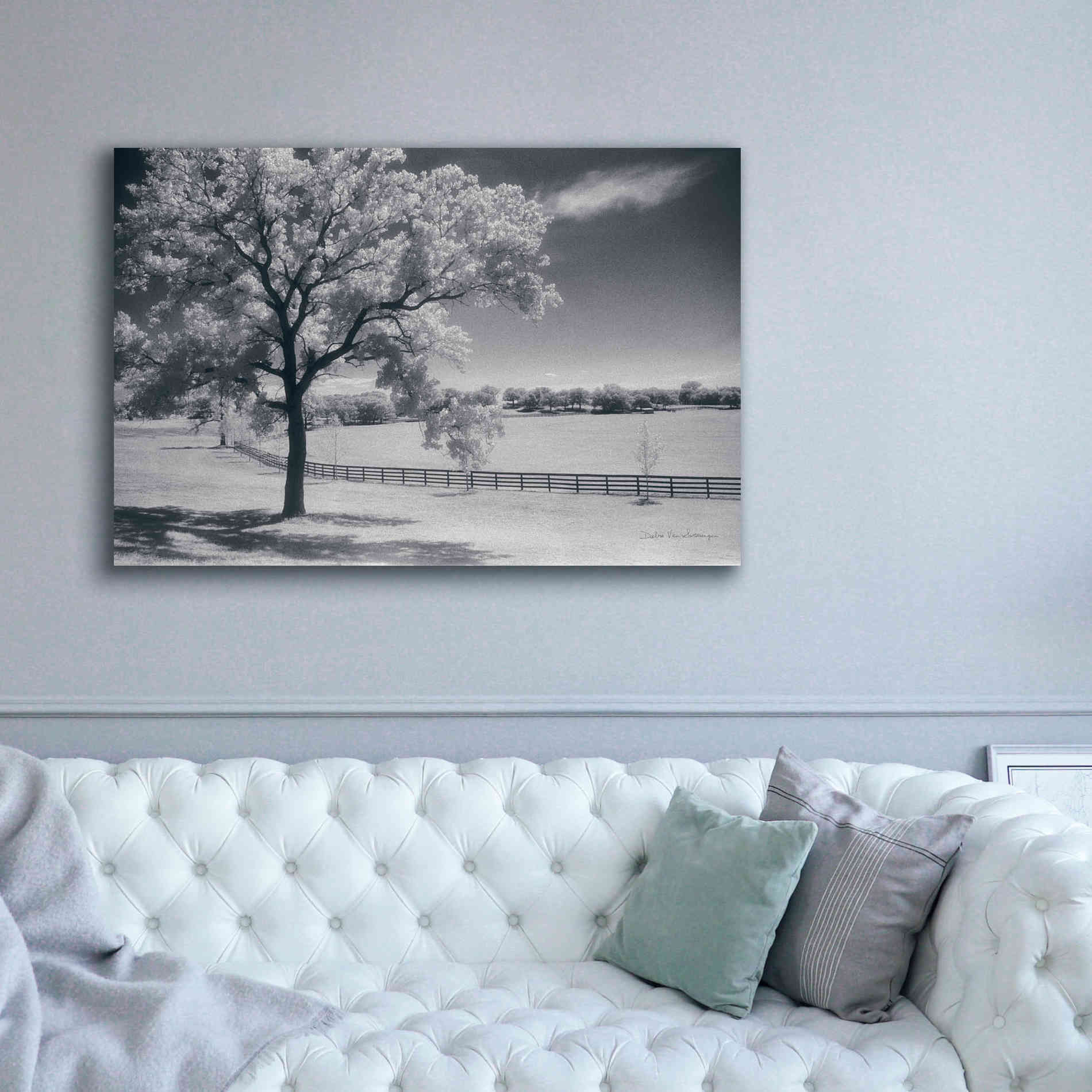 'Trees Fence II' by Debra Van Swearingen, Canvas Wall Art,60 x 40