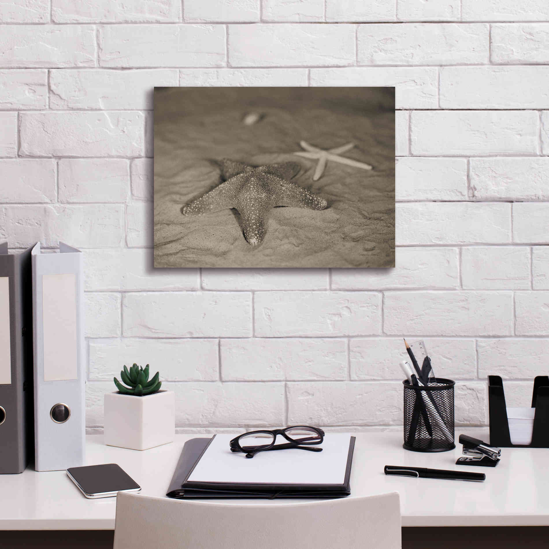 'Starfish II' by Debra Van Swearingen, Canvas Wall Art,16 x 12