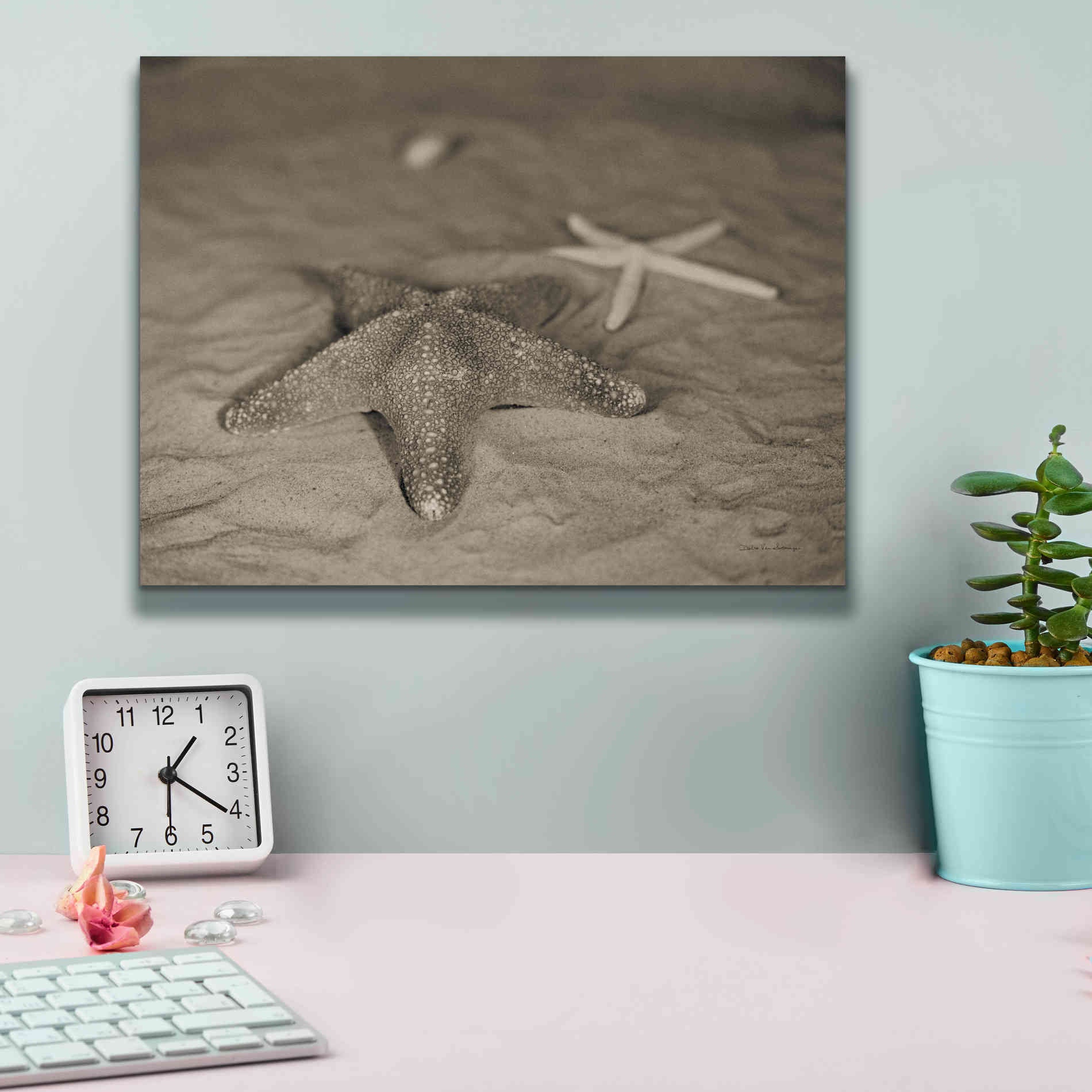 'Starfish II' by Debra Van Swearingen, Canvas Wall Art,16 x 12