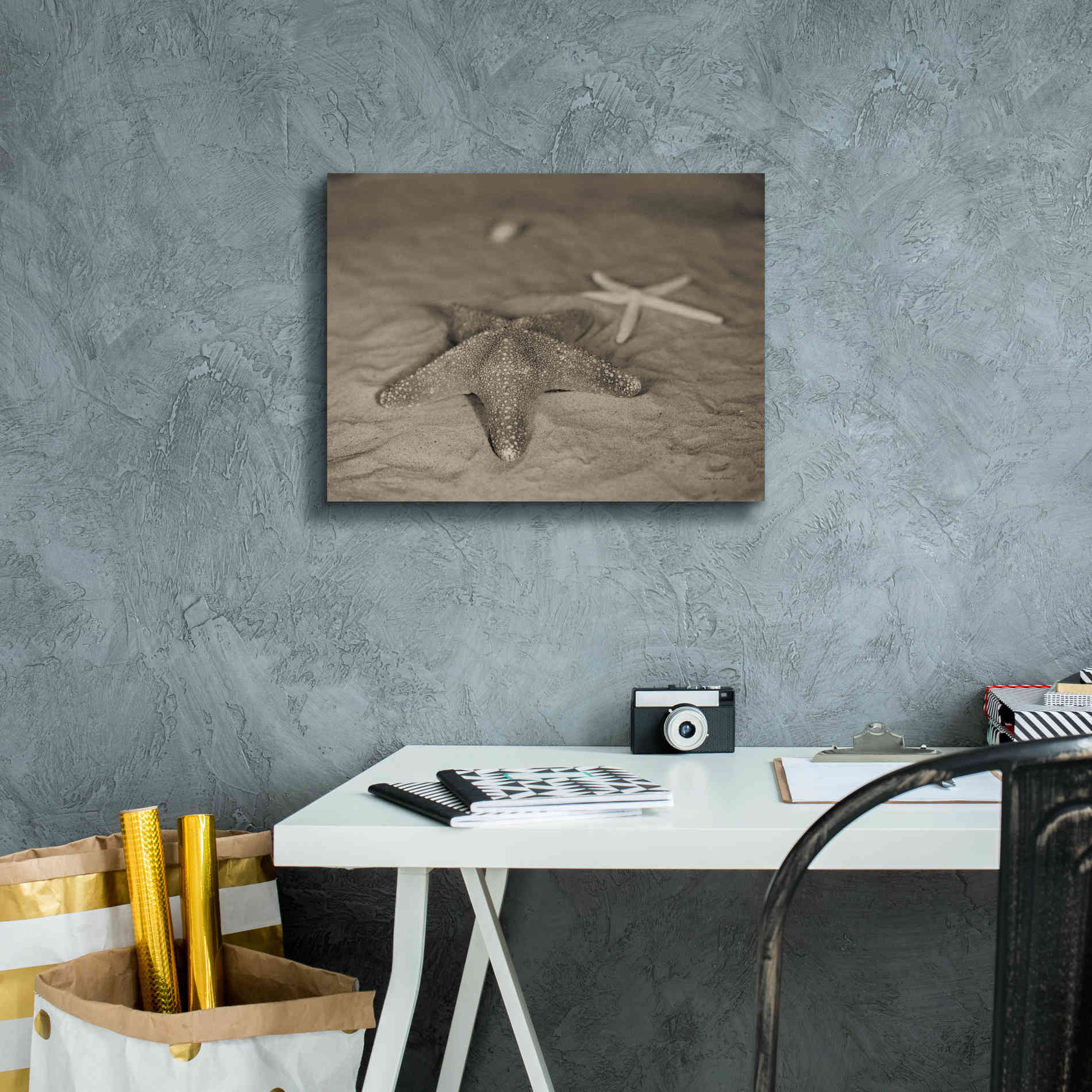 'Starfish II' by Debra Van Swearingen, Canvas Wall Art,16 x 12