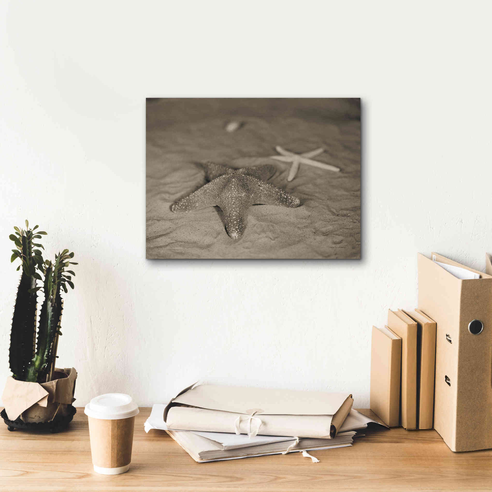 'Starfish II' by Debra Van Swearingen, Canvas Wall Art,16 x 12