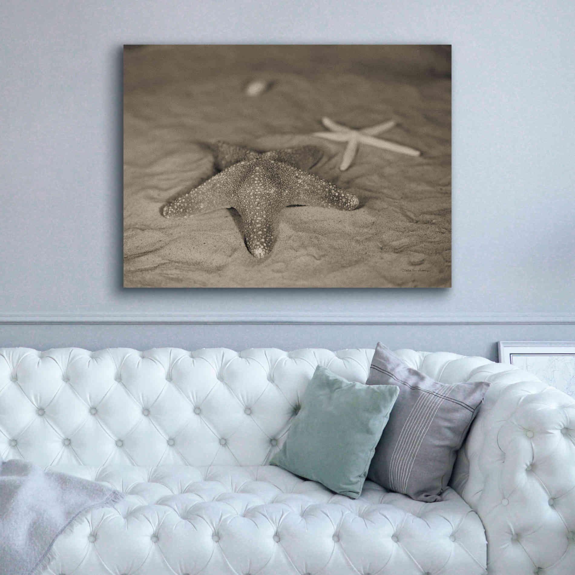 'Starfish II' by Debra Van Swearingen, Canvas Wall Art,54 x 40