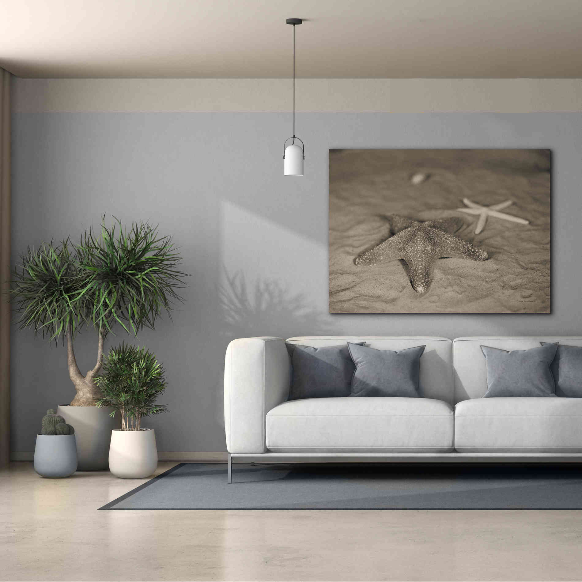 'Starfish II' by Debra Van Swearingen, Canvas Wall Art,54 x 40