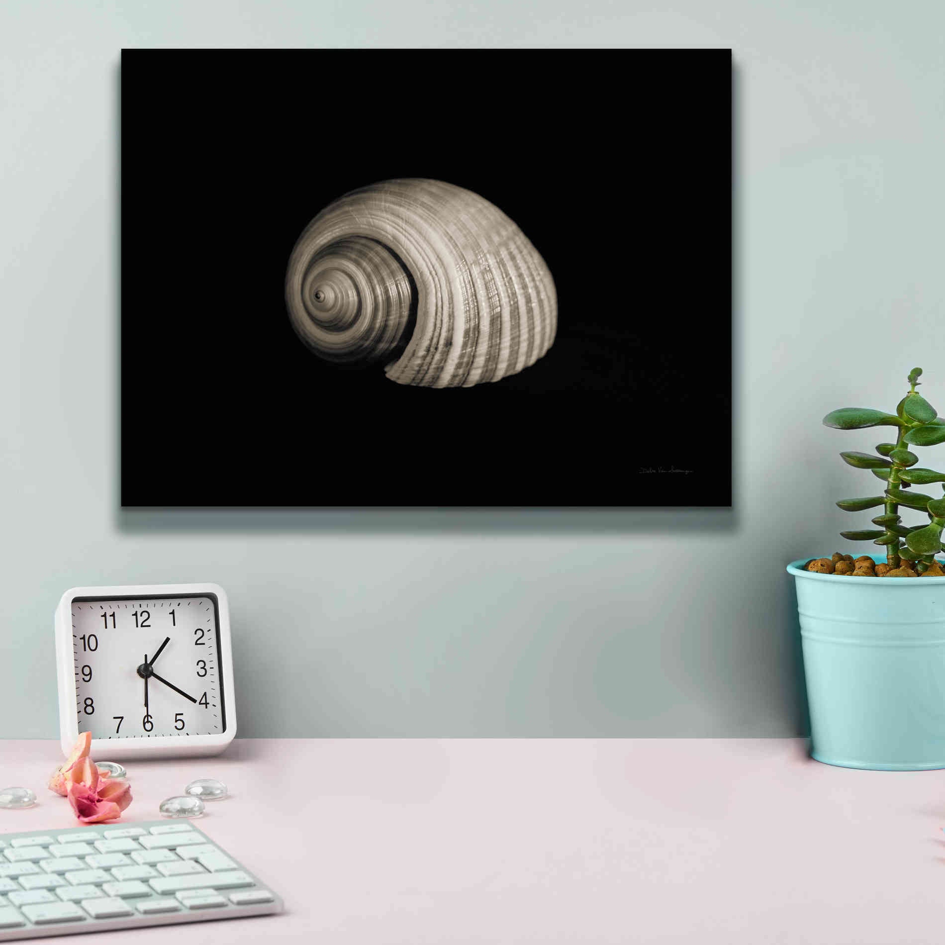 'Tonna' by Debra Van Swearingen, Canvas Wall Art,16 x 12