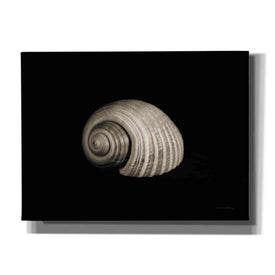 'Tonna' by Debra Van Swearingen, Canvas Wall Art,16x12x1.1x0,26x18x1.1x0,34x26x1.74x0,54x40x1.74x0