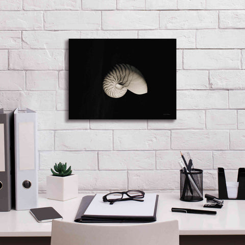 Image of 'Nautilus I' by Debra Van Swearingen, Canvas Wall Art,16 x 12