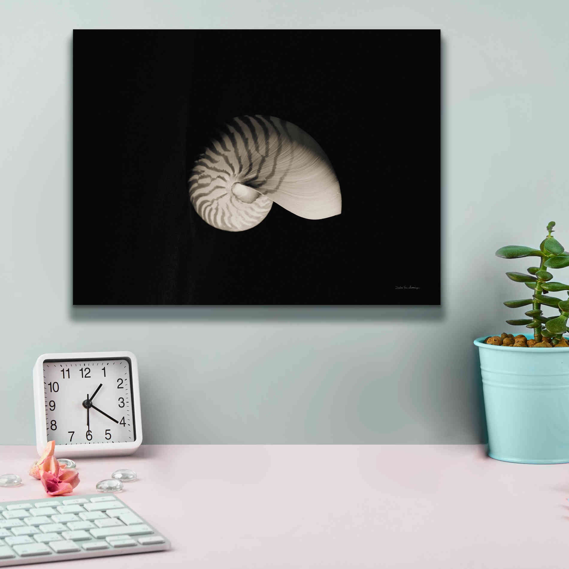 'Nautilus I' by Debra Van Swearingen, Canvas Wall Art,16 x 12
