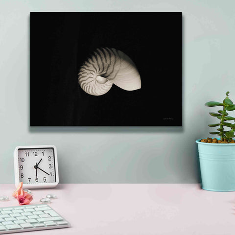 Image of 'Nautilus I' by Debra Van Swearingen, Canvas Wall Art,16 x 12