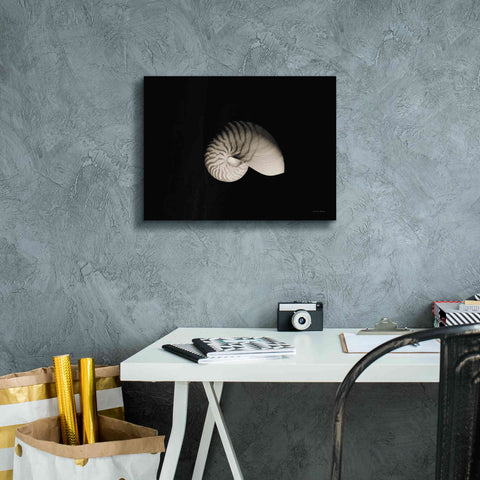 Image of 'Nautilus I' by Debra Van Swearingen, Canvas Wall Art,16 x 12