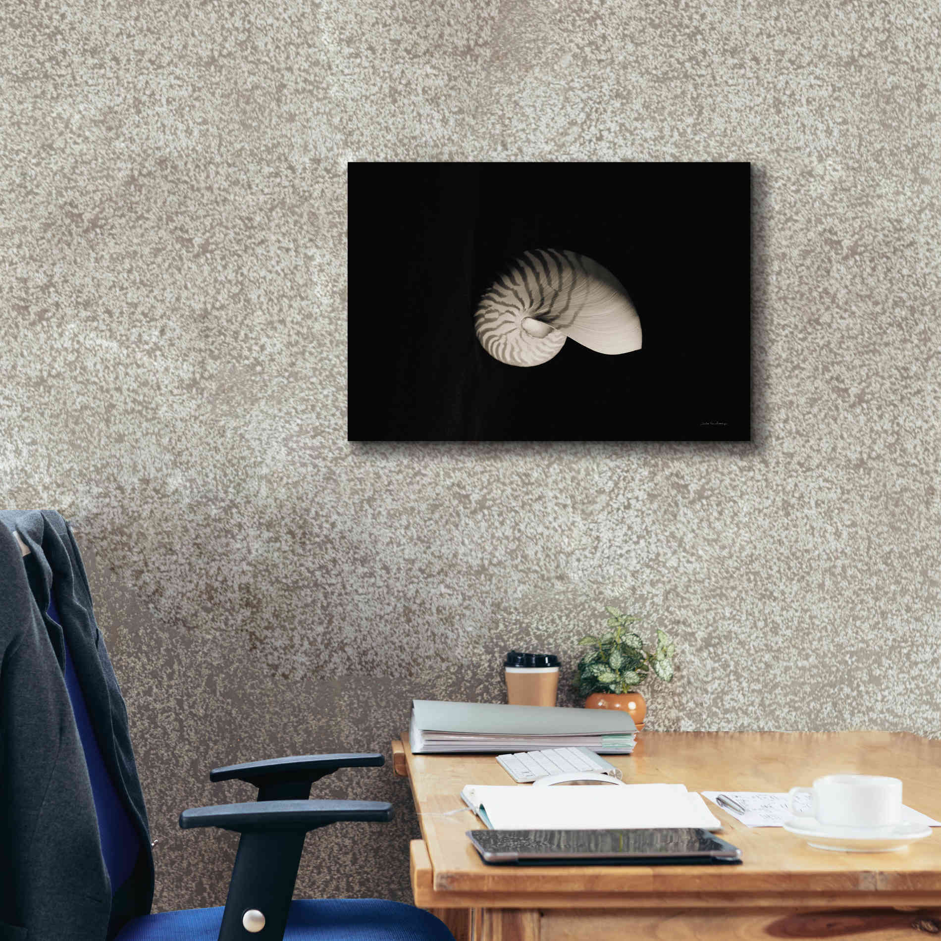 'Nautilus I' by Debra Van Swearingen, Canvas Wall Art,26 x 18