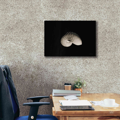 Image of 'Nautilus I' by Debra Van Swearingen, Canvas Wall Art,26 x 18