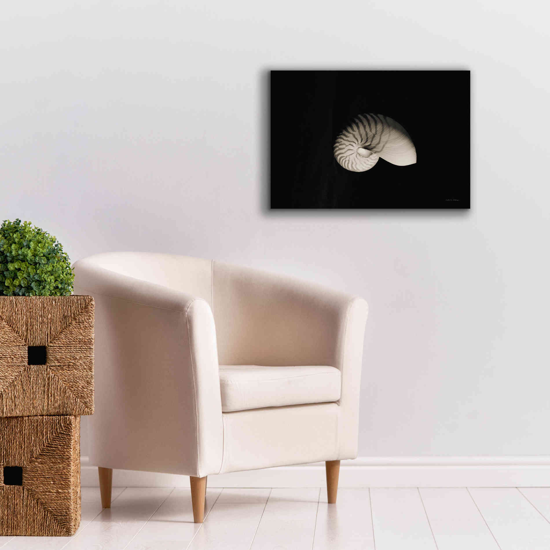 'Nautilus I' by Debra Van Swearingen, Canvas Wall Art,26 x 18