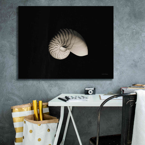Image of 'Nautilus I' by Debra Van Swearingen, Canvas Wall Art,34 x 26