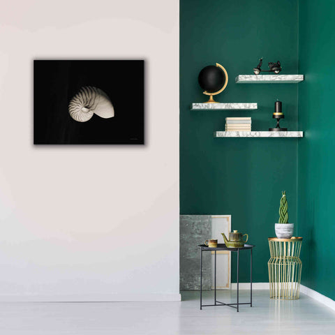 Image of 'Nautilus I' by Debra Van Swearingen, Canvas Wall Art,34 x 26