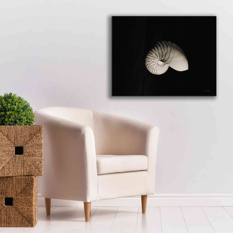 Image of 'Nautilus I' by Debra Van Swearingen, Canvas Wall Art,34 x 26