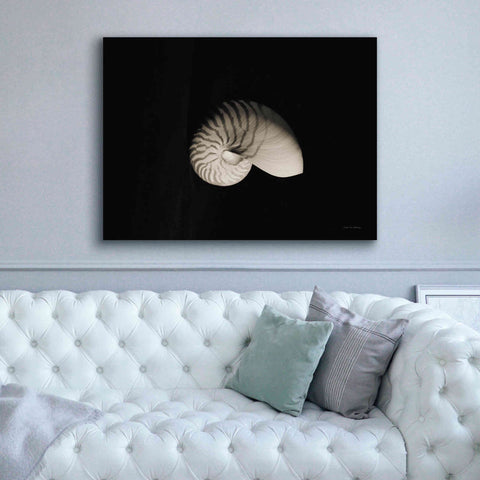 Image of 'Nautilus I' by Debra Van Swearingen, Canvas Wall Art,54 x 40