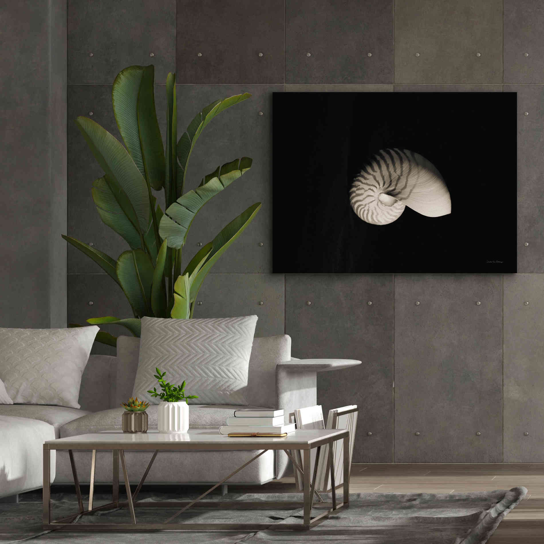 'Nautilus I' by Debra Van Swearingen, Canvas Wall Art,54 x 40