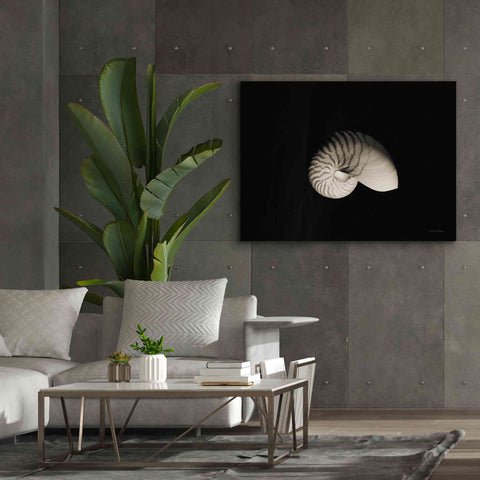 Image of 'Nautilus I' by Debra Van Swearingen, Canvas Wall Art,54 x 40